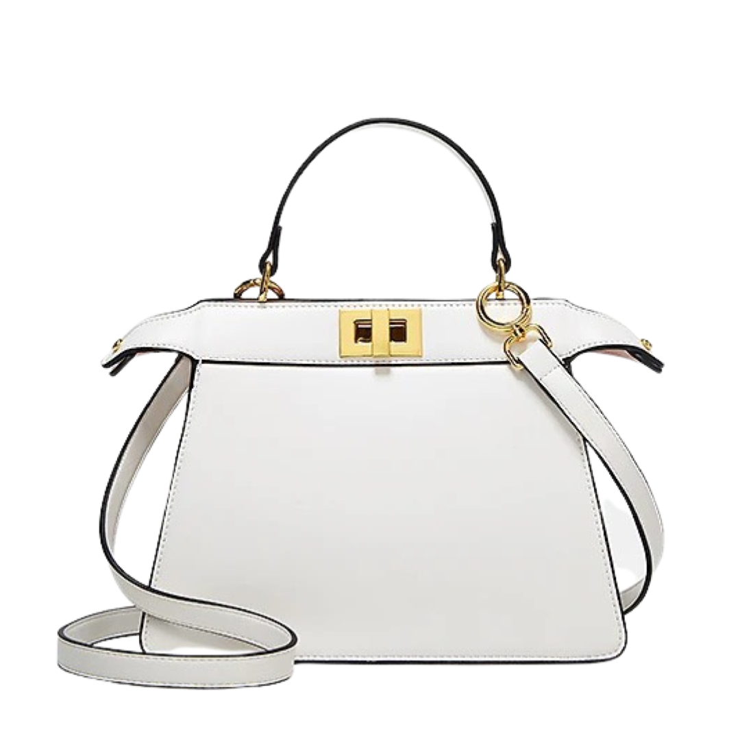 Luxury fashion handbag 2