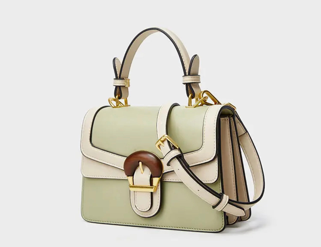 Luxury fashion handbag