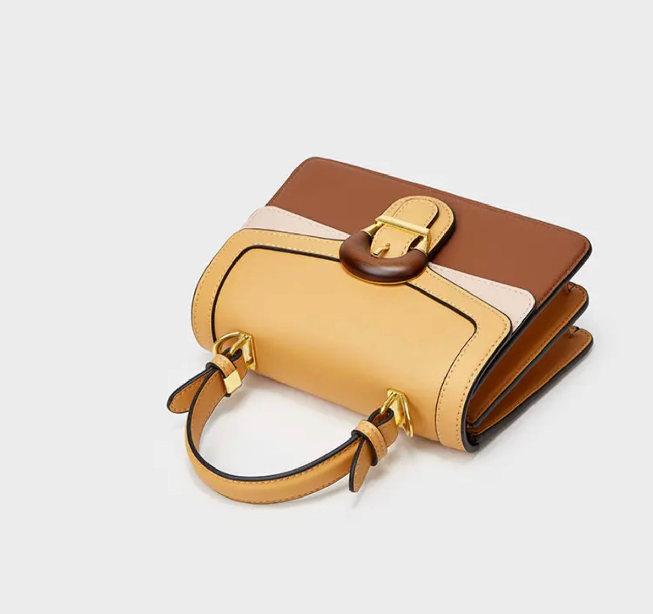 Luxury fashion handbag