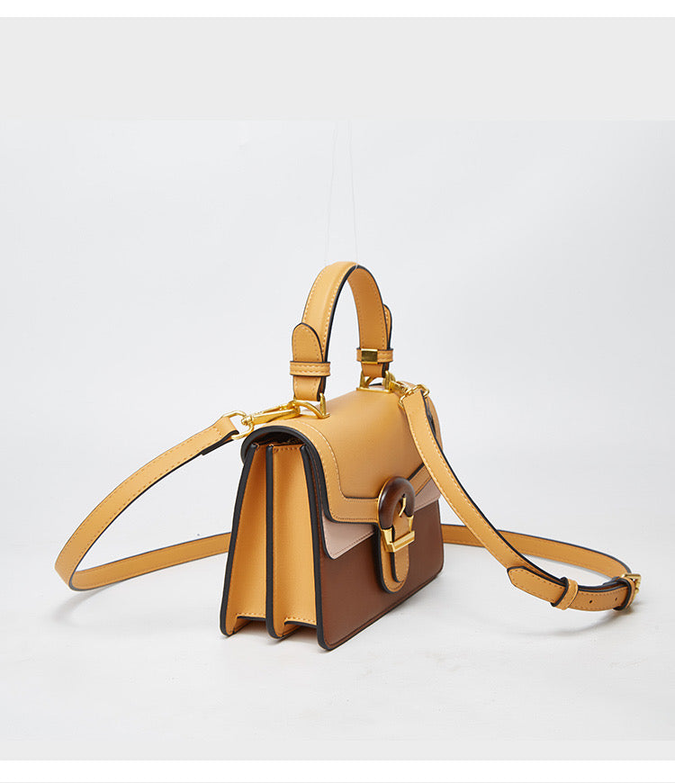 Luxury fashion handbag